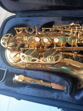 Sax Alto Royal Winds - Borgani