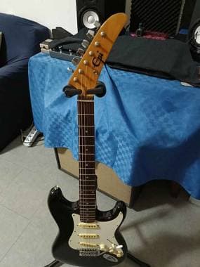 Epiphone 300 bk