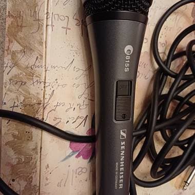 Sennheiser E815 S