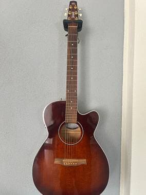 Chitarra acustica Sesgul