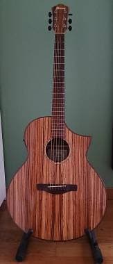 Ibanez EAW40ZW