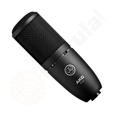 Akg p 120