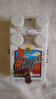 Electro Harmonix Canyon Delay-Looper