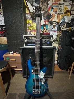 Spector Basses Legend 5