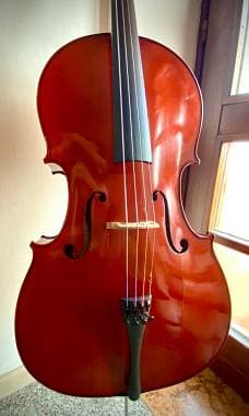 Violoncello Yamaha VC5 3/4