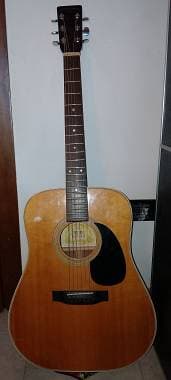 Suzuki F-120 simile Martin d28