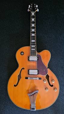 Samick Greg Bennett jz1 scambio Strato hh o Telecaster