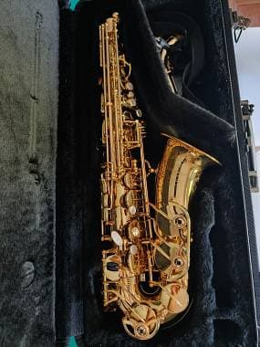 Yanagisawa W010 elite alto