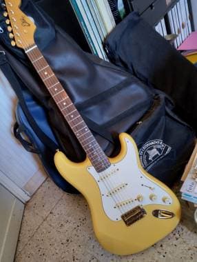 Vendo Chitarra Elettrica Eko Italia mod. Strat