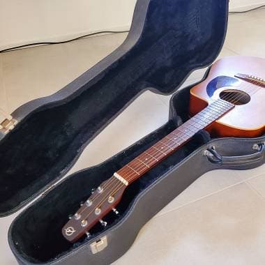 Godin Seagull S6+ CW (spalla mancante)+CUSTODIA