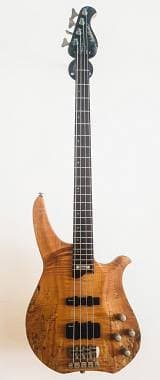 Vedo / scambio Washburn WASHBURN - CB-14 SP