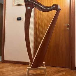 Salvi Harps MIA