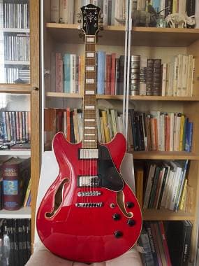 Ibanez as73
