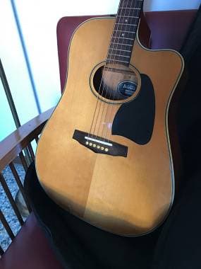 IBANEZ AE300