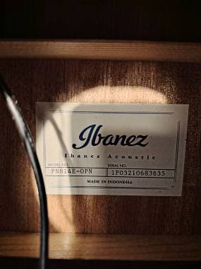 Ibanez Pnb14e opn