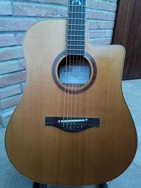 Eko Mia D FLC (Fishman PSY-301)