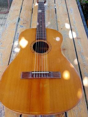 Hofner Parlor