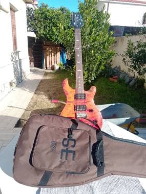PRS Guitars PRS CE 24