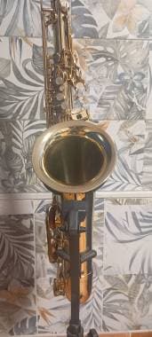 Selmer Paris S.A 80 serie2