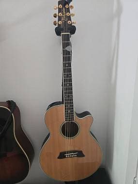 Takamine Limited 1989