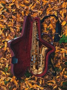 Rampone & Cazzani - Sassofono Contralto R1 Jazz (placcato oro)