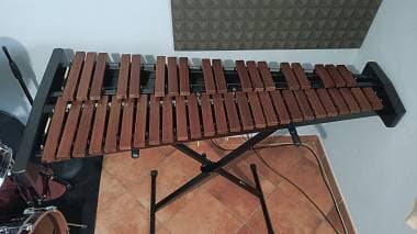 Xilofono da tavolo Bergerault performer 3.5 Ottave palissandro + accessori
