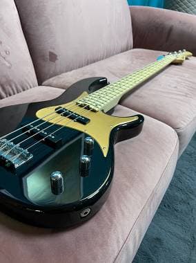 Aria Pro II - RSB series 618/4