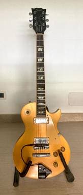 Gibson Les Paul Deluxe Goldtop '80 + Roland VG-8 Expanded