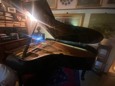 Yamaha C5 a 12000 euro