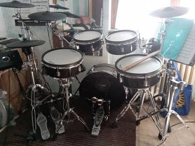 Roland Vad 307