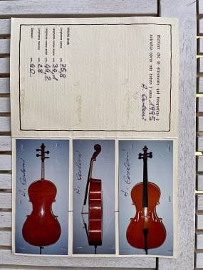 Vendo violoncello Assunto Carloni 1995 + custodia rigida.