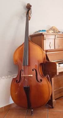 Vendo/Scambio contrabbasso da studio Reghin