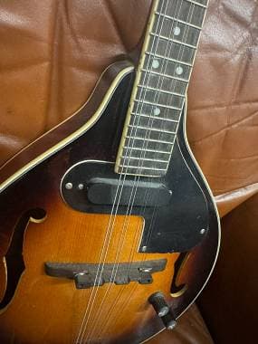 Mandolino elettrico Fender