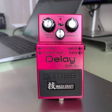 Boss DM-2W Delay analogico Waza Craft