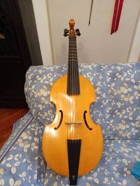 Vendo viola da gamba bassa da studio