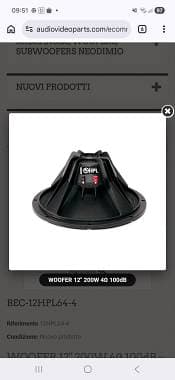 Woofer 12 appena acquistato per FBT Maxx4a