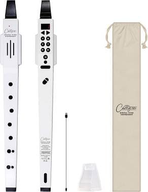 Blackstar Carry on Digital Wind Instrument