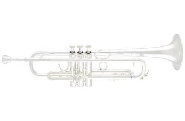 Bach 72 stella