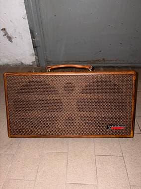 Audiodesign Pro Gipsy 2x8
