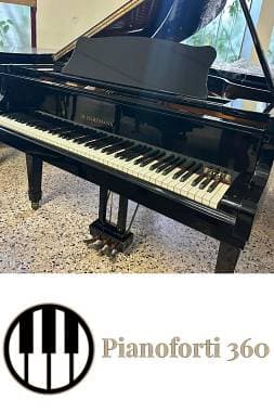 Pianoforte quarto di coda Hartmann
