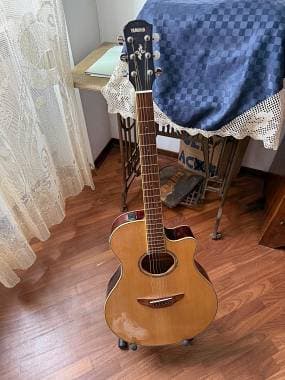 Yamaha APX 600