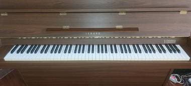 Yamaha acustico LU-101