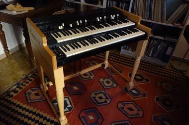 Viscount Legend Live con supporto originale