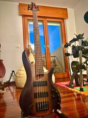 Ibanez sr505e, 5 corde