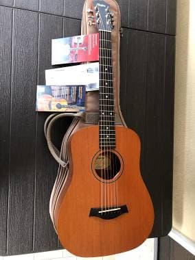 Taylor Baby Taylor BT 2 amplificata
