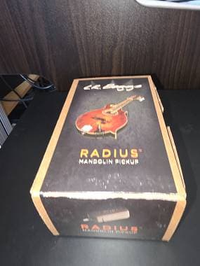 pickup per mandolino e violino L.R. Baggs Radius M