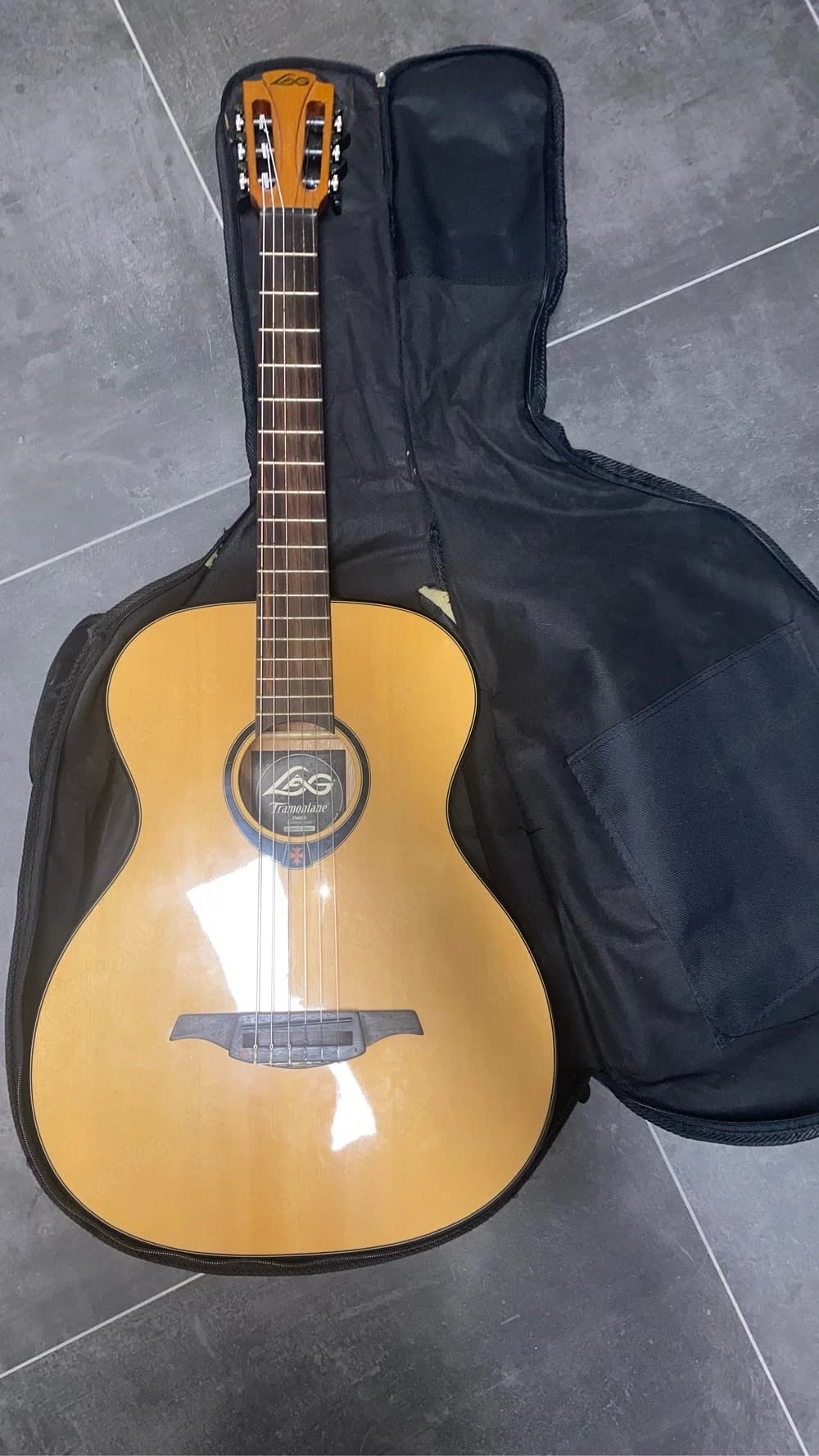 Gitarre mit Tasche