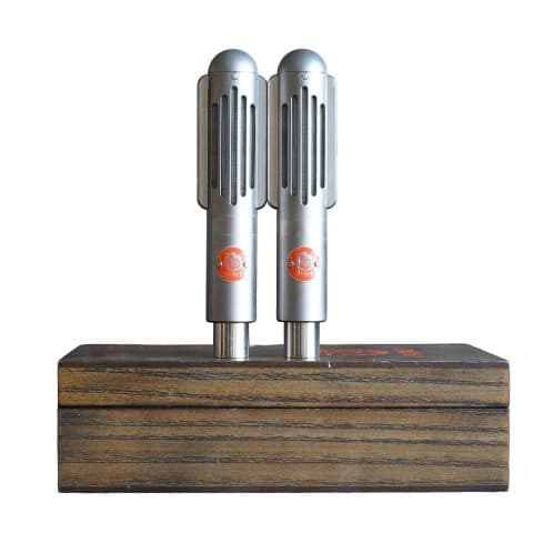 Extinct Audio BM9 Studio Ribbon Microphones Matched Pair (Used)