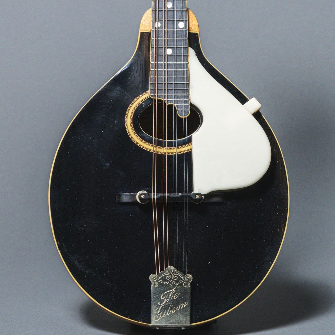 Gibson A4 Mandolin 1915, Black Top Natural Back