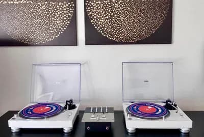 Komplettes DJ Vinyl Set 2x Pioneer PLX-500 + Stanton SMX.201
